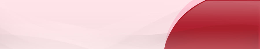 �����̎В���N�O���l����В��w�ƌo�c��r�̐^��